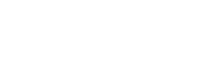 logo salmon